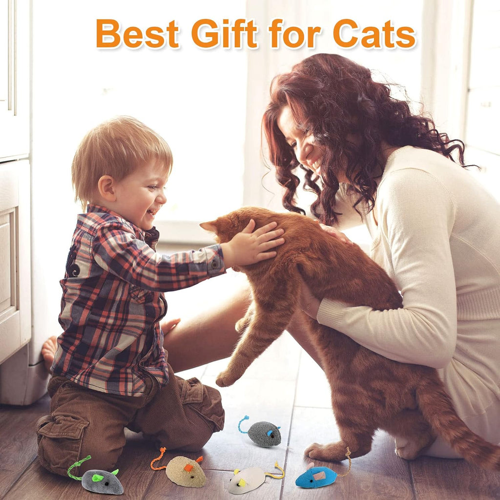 9 Pcs Cat Mouse Toys, Catnip Cat Toys