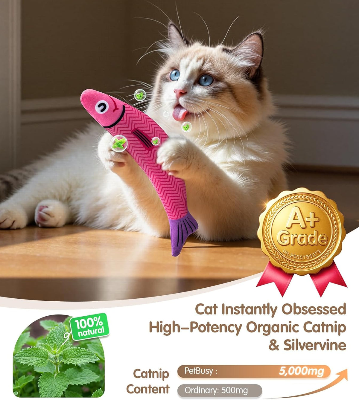 Cat Toys with [5000 Mg A+Natural Catnip & Silvervine] Kicker Fun