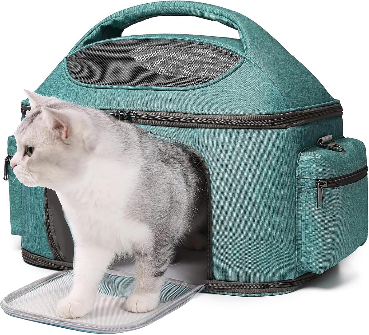 Large Pet Carrier for Cat and Small Dog, Fits 20 Lbs Fat Cat, Soft-Sided Pet Travel Carrier, Cat Bed (Green)
