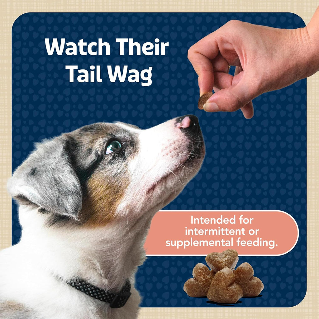 Bits Natural Dog Treats, Salmon, 4Oz (Pack of 1)