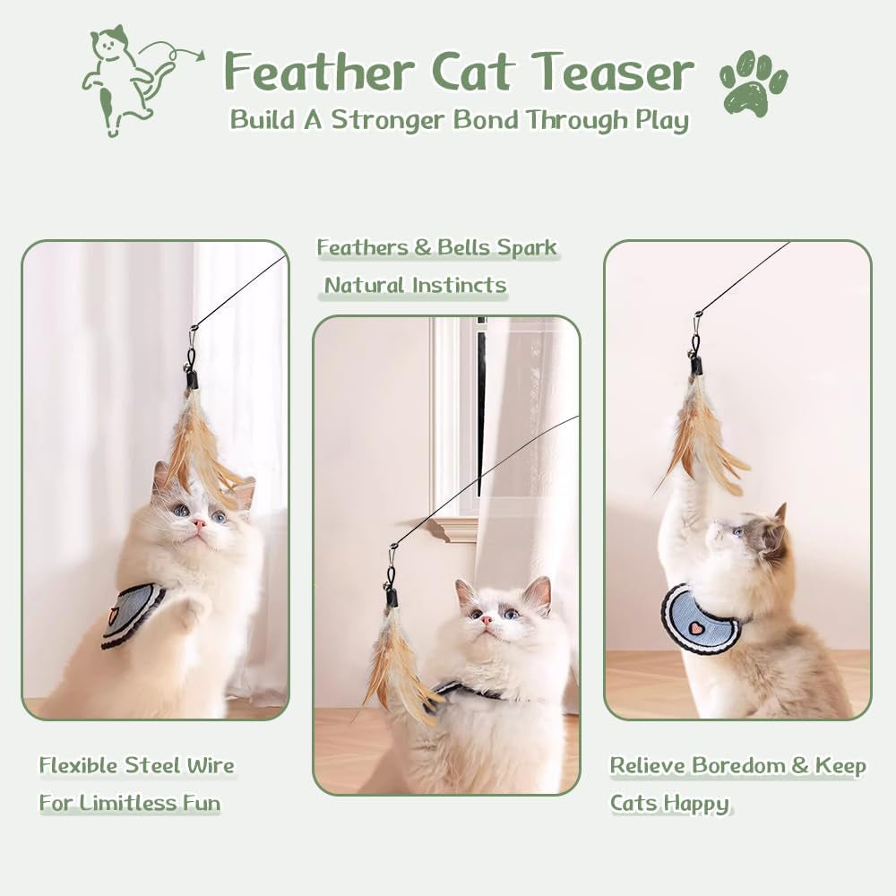 40-Pack Cat Toys for Indoor Cats & Kittens, Interactive Cat Toy