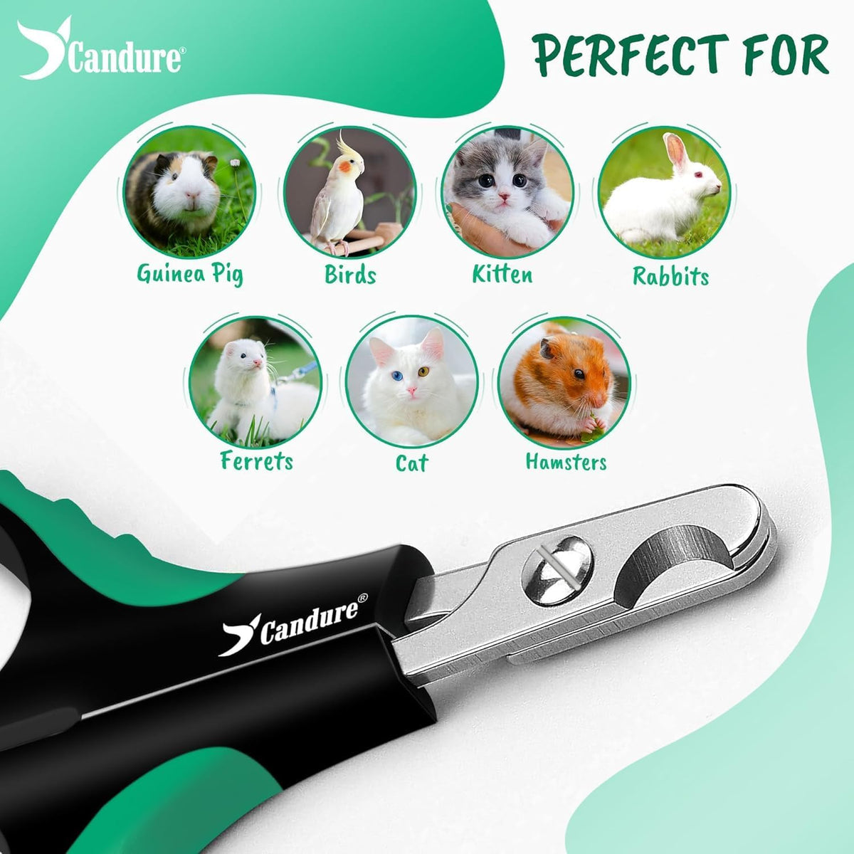 Cat Nail Clippers Stainless Steel Cat Claw Trimmers for Rabbits,Guinea Pigs, Birds, Puppies, Kittens and Small Animals- Pet Nail Clippers for Professional and Home Use (Black)