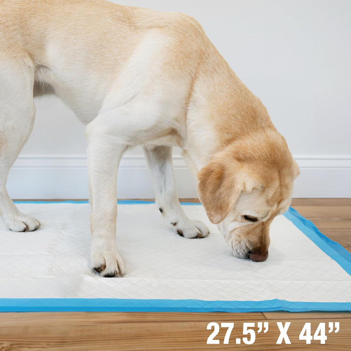 100202102 Wee-Wee Pads-Gigantic, 18-Pack