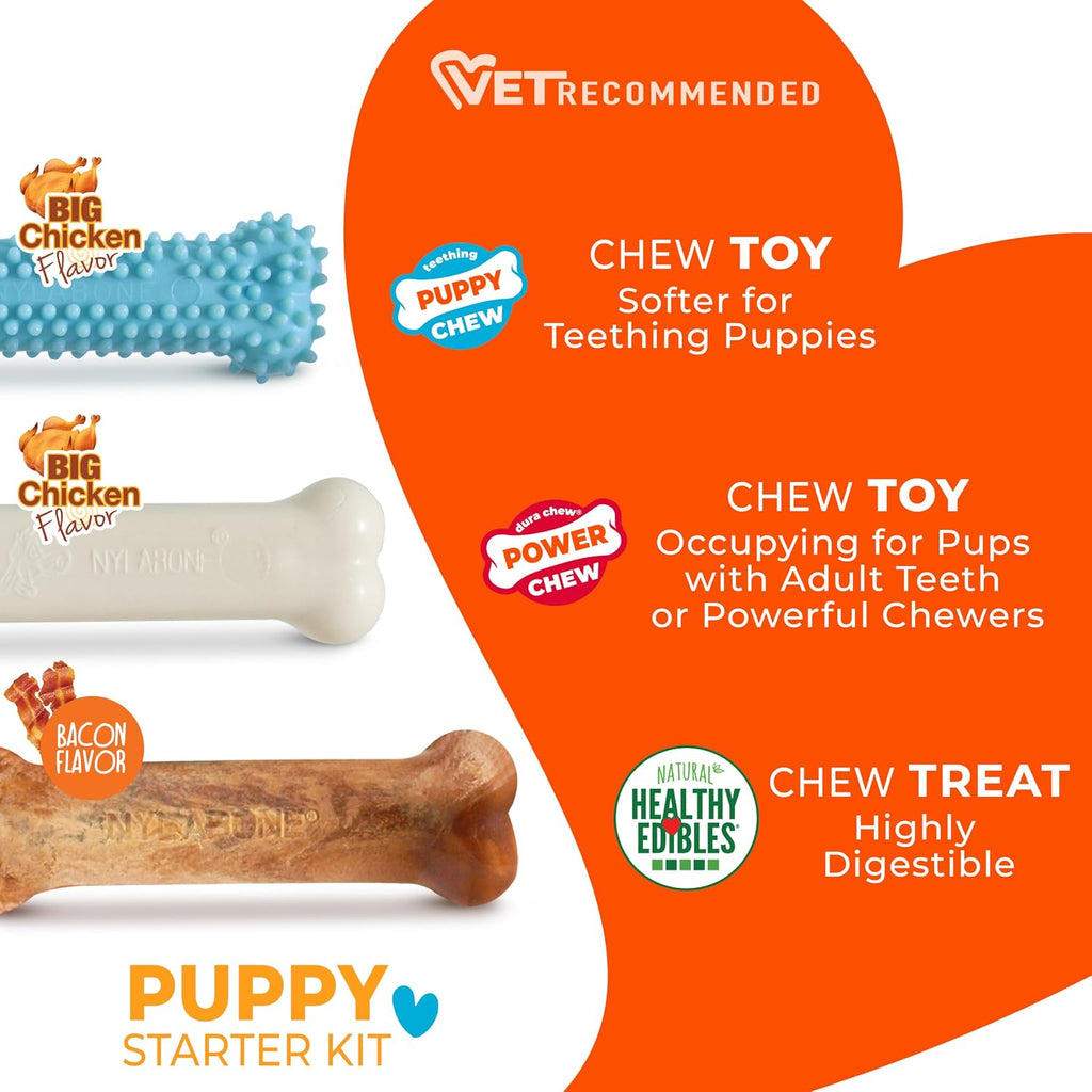 Puppy Chew Toy & Treat Puppy Starter Set, Blue Puppy Chew Toys for Boys