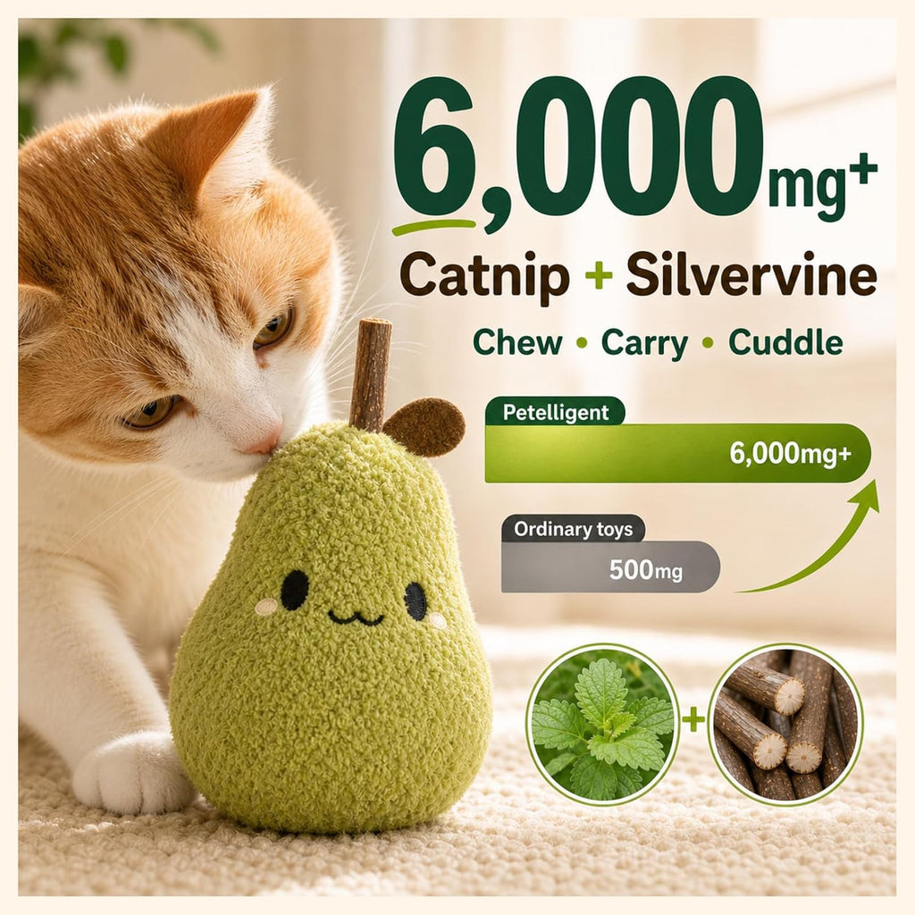 Cat Plush Toy [6000Mg A+Natural Catnip & Silvervine] with Teething Stick Soft Catnip Toy for Kitten Chewing Carrying & Cuddling 1 Pack (Pear Green)