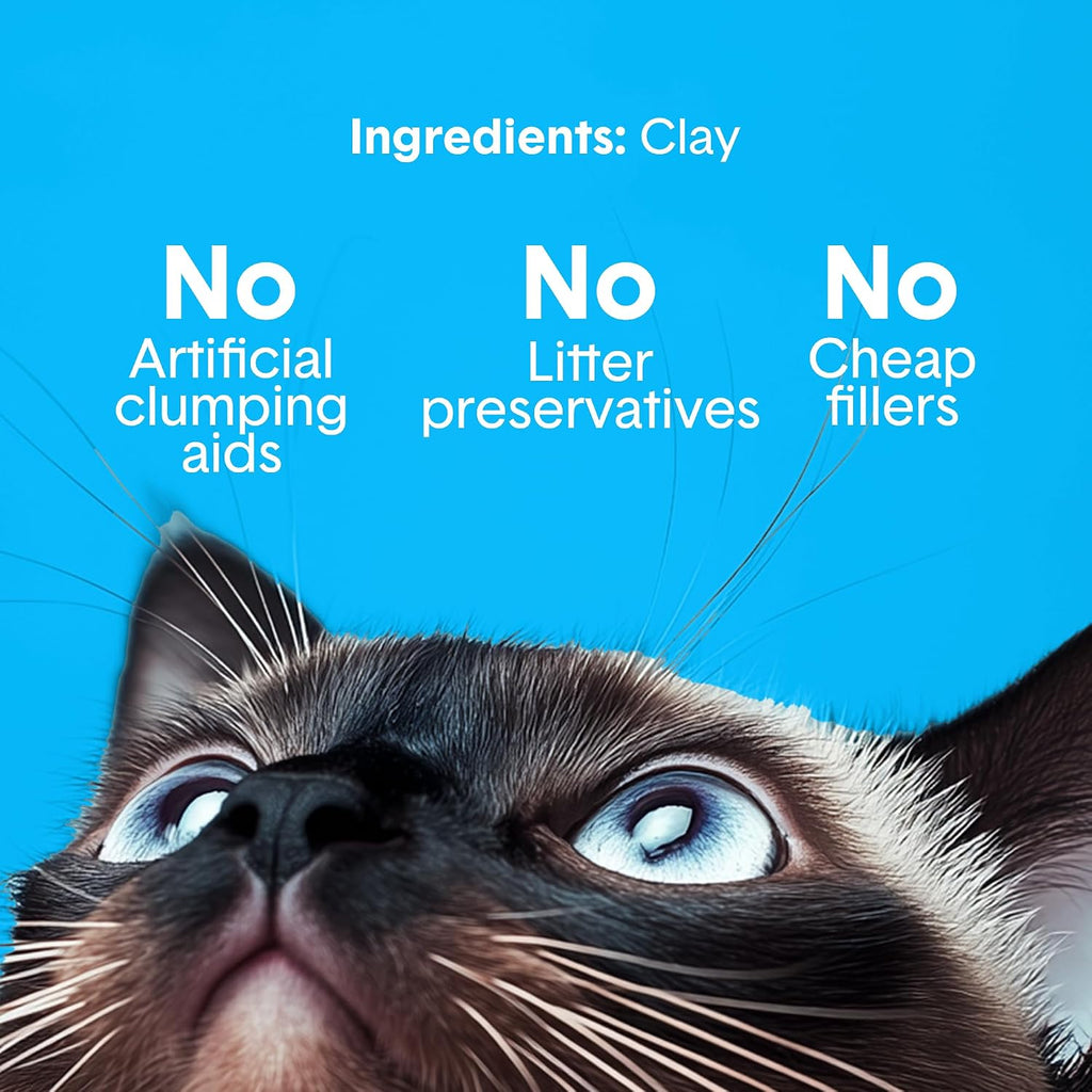 Boxie Premium Unscented Clumping Cat Litter 30 Day Odour Control 16 Lb