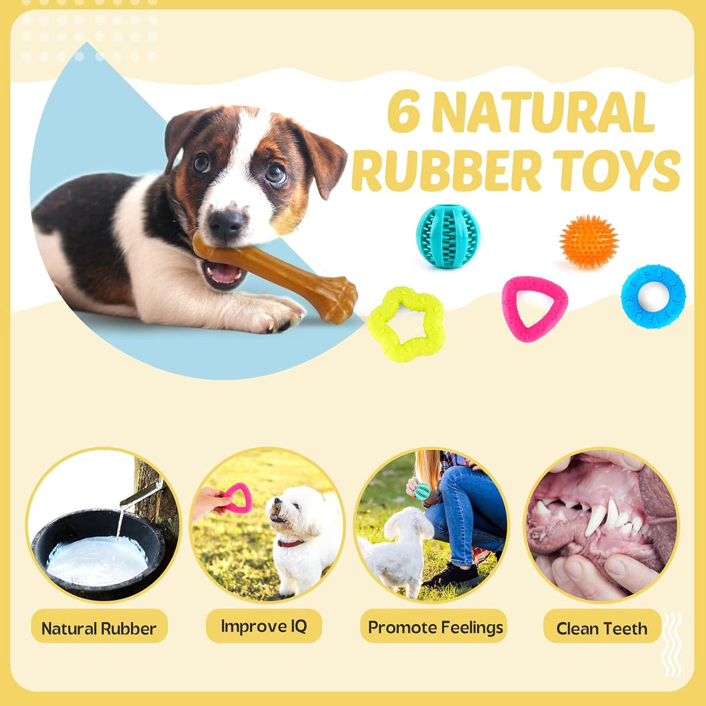 Puppy Toys 21 Pack Small Dog Chew Toys Teething Rope Ball Toy for Puppies