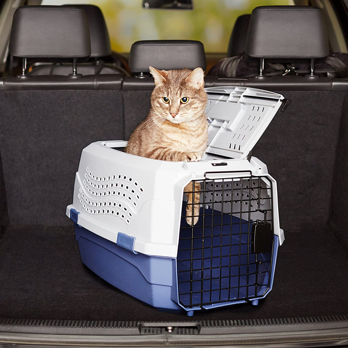 Two-Door Top-Load Hard-Sided Pet Travel Carrier, 58.4 Cm