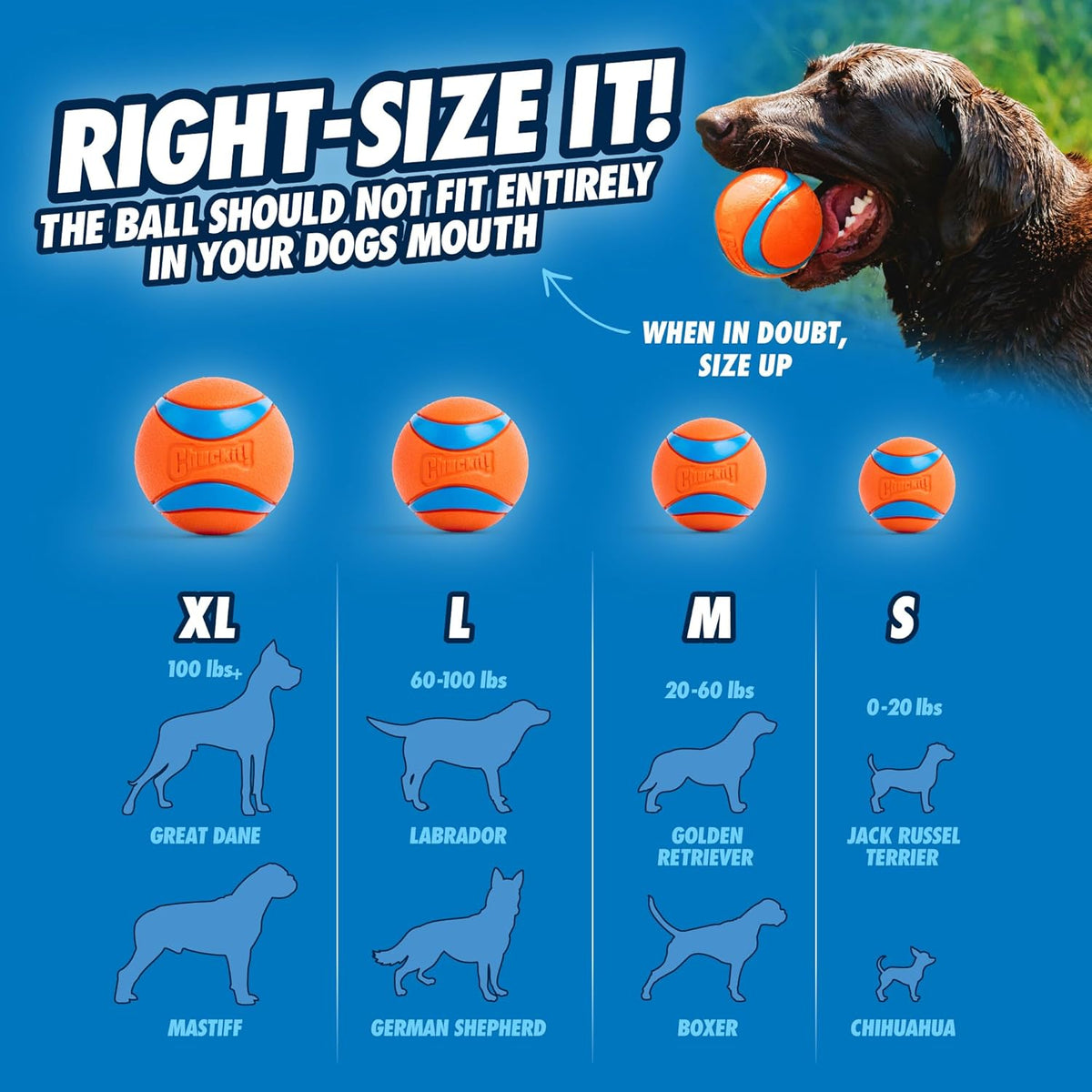 Fetch Ball Medley, Medium, Dog Ball, 3 Pack, Ultra, Fetch and Rugged Balls Included