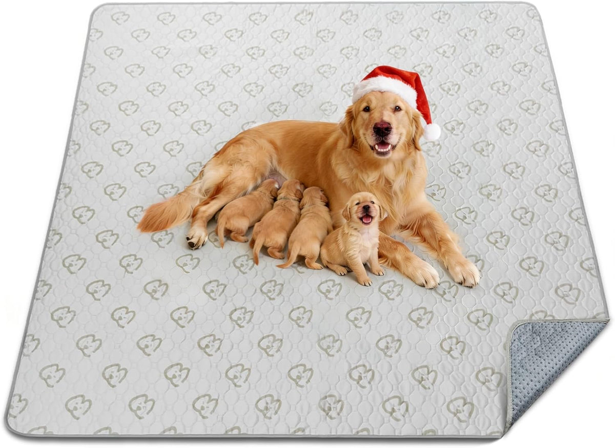 Washable Pee Pads for Dogs, Super Absorbent, 63" Square, Khaki, 1 Pack